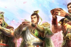 三国志13防仇敌冲脸攻略（详解避免武将狂暴方法）