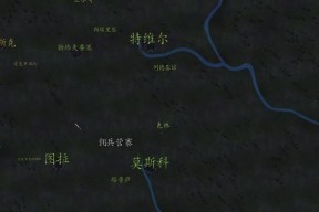 骑马与砍杀（全面解析波兰士兵的特点）