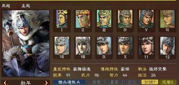 三国志13全兵种属性详解（游戏玩家必看！了解三国志13全兵种属性）  第2张